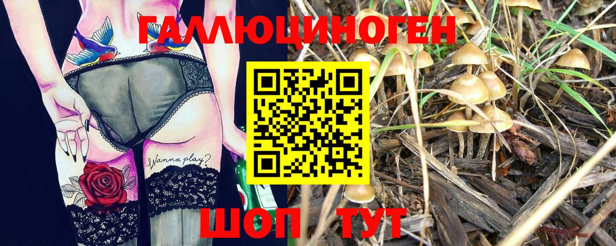 Псилоцибиновые грибы MAGIC MUSHROOMS  Вход с VPN  Сосновоборск 