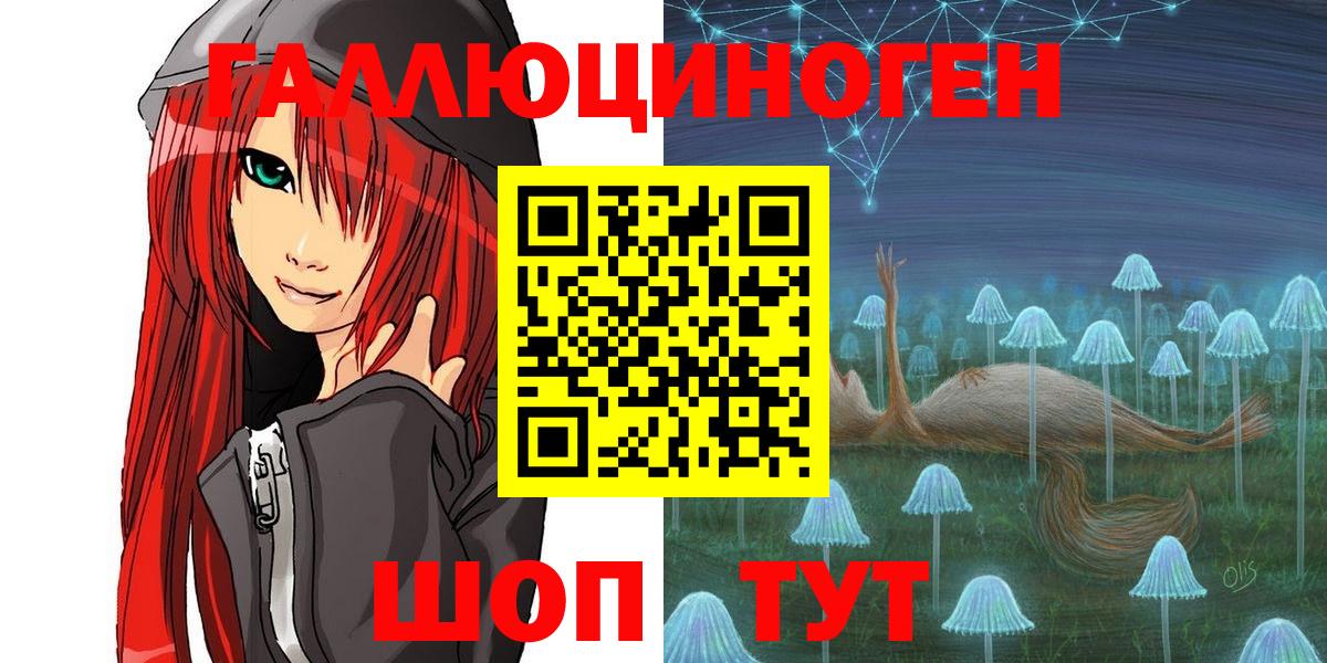 Псилоцибиновые грибы Psilocybe Сосновоборск
